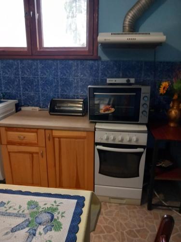 Къща за гости Дани, Govedartsi (foto 3)