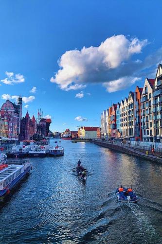 Gdańsk Oliwa Oliwki i wino (Gdansk Oliwa Oliwki i wino) in Siodmy Dwor