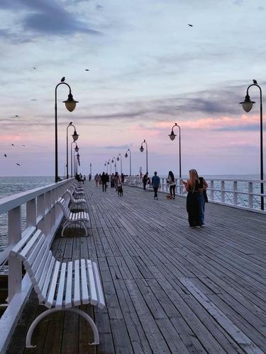 Praia, Gdańsk Oliwa Oliwki i wino (Gdansk Oliwa Oliwki i wino) in Siodmy Dwor