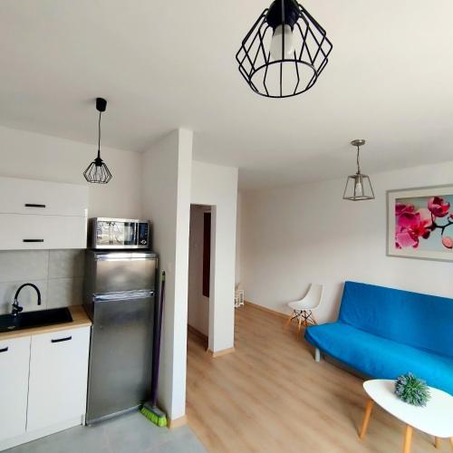 Gdańsk Oliwa Oliwki i wino (Gdansk Oliwa Oliwki i wino) in Siodmy Dwor