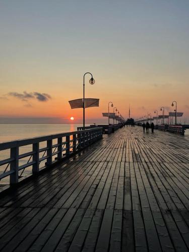 Gdańsk Oliwa Oliwki i wino (Gdansk Oliwa Oliwki i wino) in Siodmy Dwor