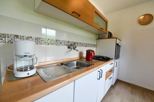 مطبخ, Apartman Babara in دريزنيك جراد