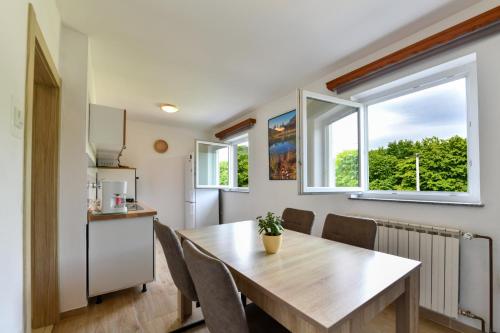 مطبخ, Apartman Babara in دريزنيك جراد