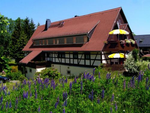 Landhaus Sorgenfrei obere Etage in 霍恩斯泰因
