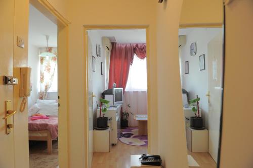 Apartment Daca Stan na dan, Belgrad