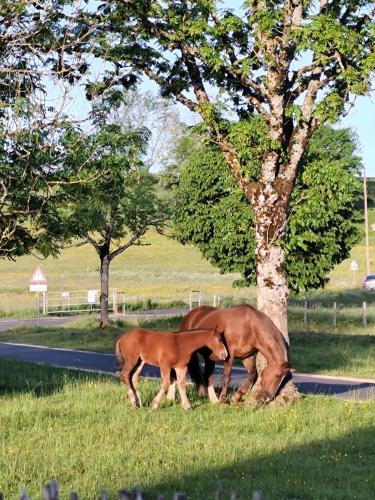 Country Haven in Les Bois