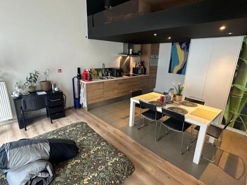 cozy casa d'anvers op een unieke toplocatie, Amberes (foto 7)