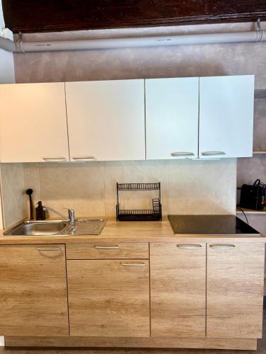 Historic studio apartment beneath the Ljubljana castle in the old city centre, Ljubljana (photo 5)
