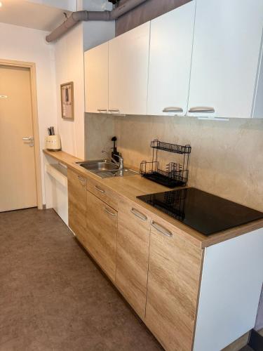 Historic studio apartment beneath the Ljubljana castle in the old city centre, Ljubljana (photo 10)