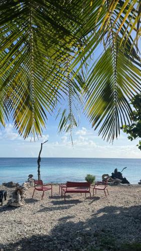 Omgeving, Fareana Lodge Bungalow ho'e in Fakarava