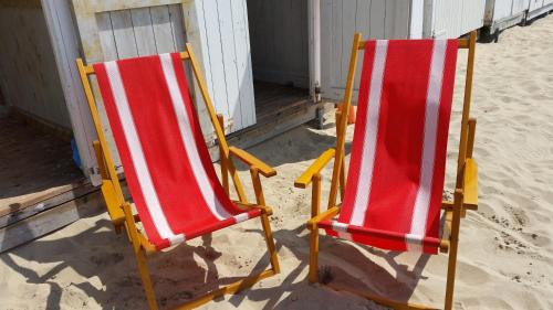 BRANDING Bed by the Sea