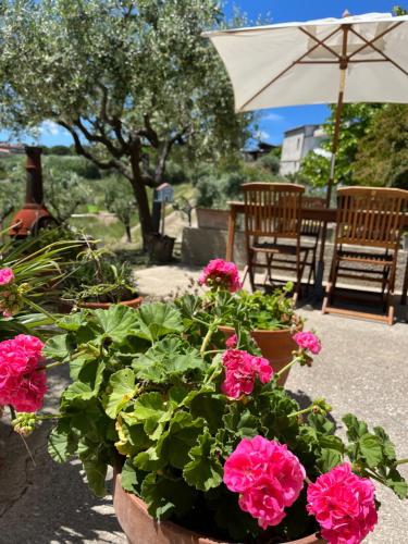 Casa vacanze 365 - verde gîte à louer Cavatassi