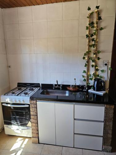 City Cabin, Uspallata (foto 11)