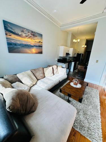 Charming, Spacious Apartment Downtown Albany, Albany (photo 3)