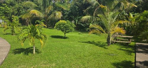 Keshy island colibri in Baillif