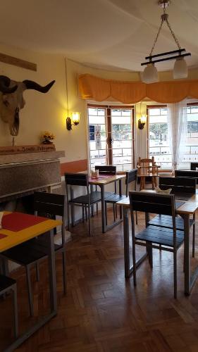 Instalaciones, Sentir Patagonia in Vina Del Mar City Center