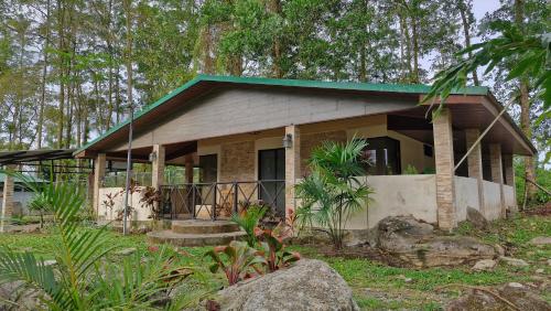 House in the Woods