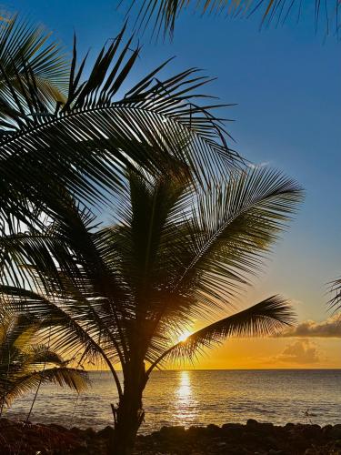 Le Paradis de la Guadeloupe in Pointe-Noire