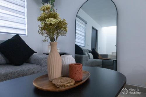 R - Casa Privada - Alegria Housing, Aguascalientes (fotografie 8)