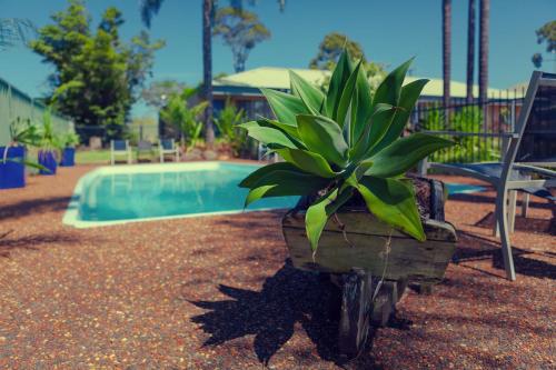 Swimmingpool, The Balan Village Motel in Nowra