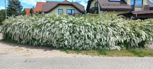 Apartament Słoneczny