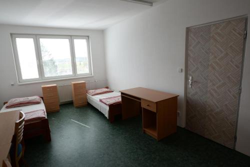 ターボル Ubytovani Na Kopecku ホテル プール