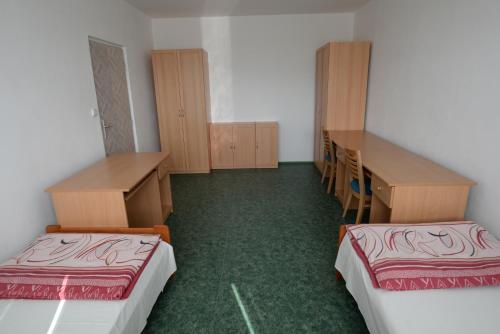 ターボル Ubytovani Na Kopecku ホテル 眺望