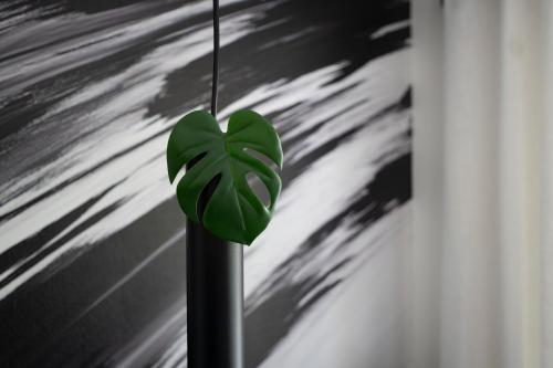 Black & White Apartment - Balkon, Netflix, Nespresso, Zentral, Messe, Chemnitz (photo 11)