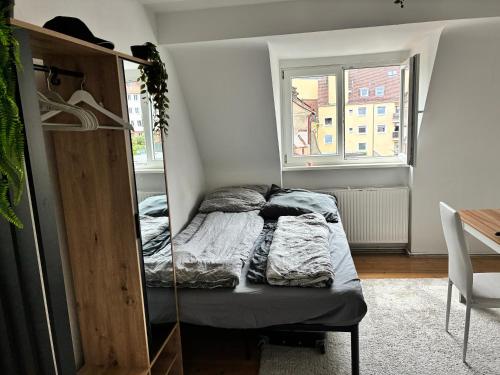 Loft near the Castle, Private Room - shared spaces and bathroom, Nürnberg (photo 8)