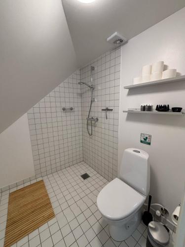 Duplex Apartment image 9