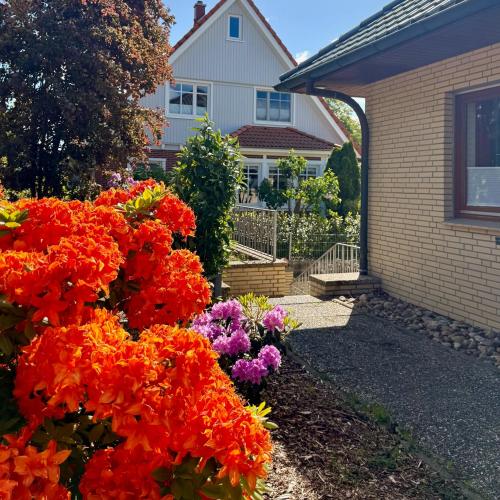 TooHuus in Hitzacker, Deutschland