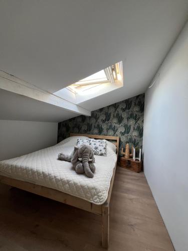 Jungle in Saint Mandrier Sur Mer