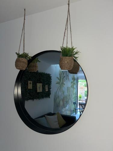 Létesítmények, Jungle in Saint Mandrier Sur Mer