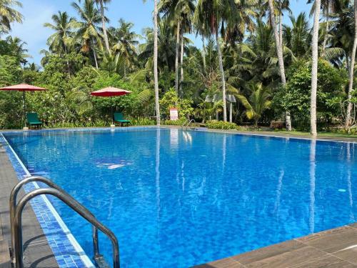 Piscina, Nilawin Hotels & Resorts in Chilaw