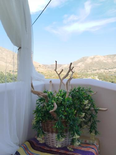 Tilos Island house in 蒂洛斯