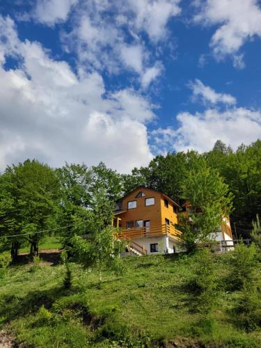 Kert, Cabana NEST in Ceahlau