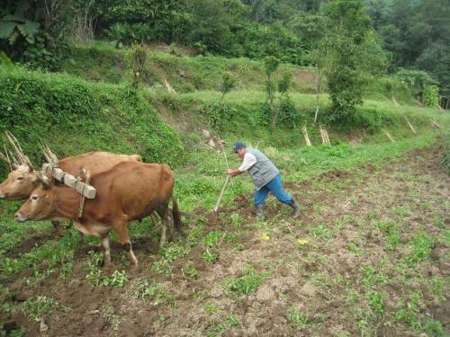 Nepal Village Homestay in 일람