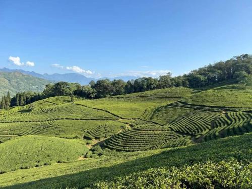 Nepal Village Homestay in 일람