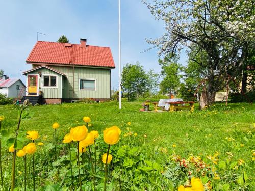 Toivola , Joroinen