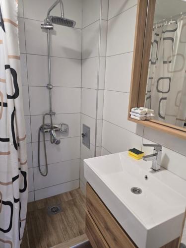 丘布爾斯卡 Kuca Vranjkovic Krajisnici 3星级 民宿 套房