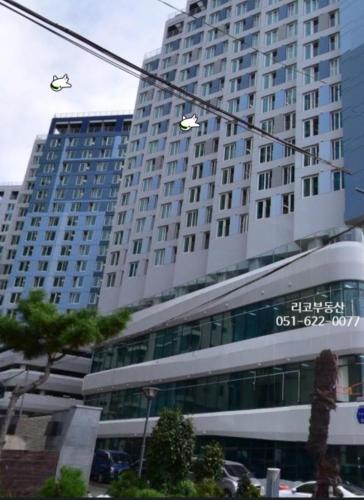 광안리해수욕장 30초# 무료주차# 해수욕장 뷰# 민락더마켓# 수변공원