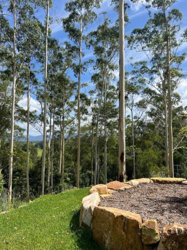 Bellingen amazing escape in Fernmount
