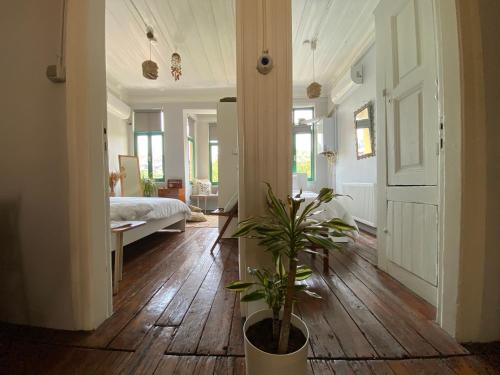 Balat Boutique Hotel, Стамбул (фото 8)