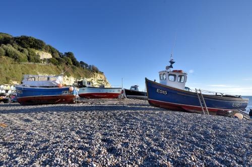 Exterior view, Picket Mead in Southleigh