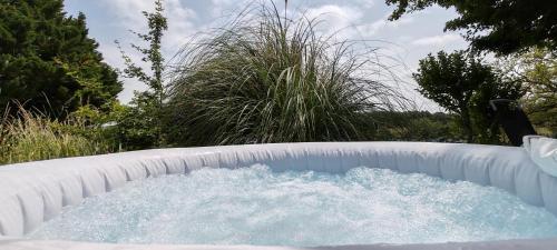 Chambre d'hôte, Jacuzzi ext, piscine ext, Cosy nature avec Grand Salon, wifi, salle de bain, parking chambre d'hôte La Roche-Posay