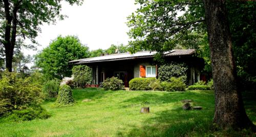 B&B L'Albero Maestro 3
