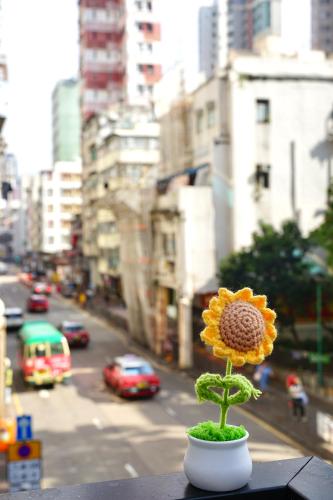 Waveflo Hostel 浪花青旅 in 油麻地