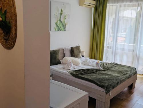 One-Bedroom Apartment image 2
