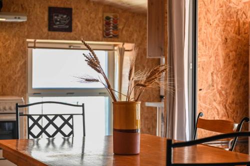 Maison - Le pic du midi in Roquefeuil