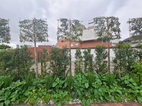 Wilde Brise 3 - Luxusbungalow in bester Lage in Norddeich - image 3